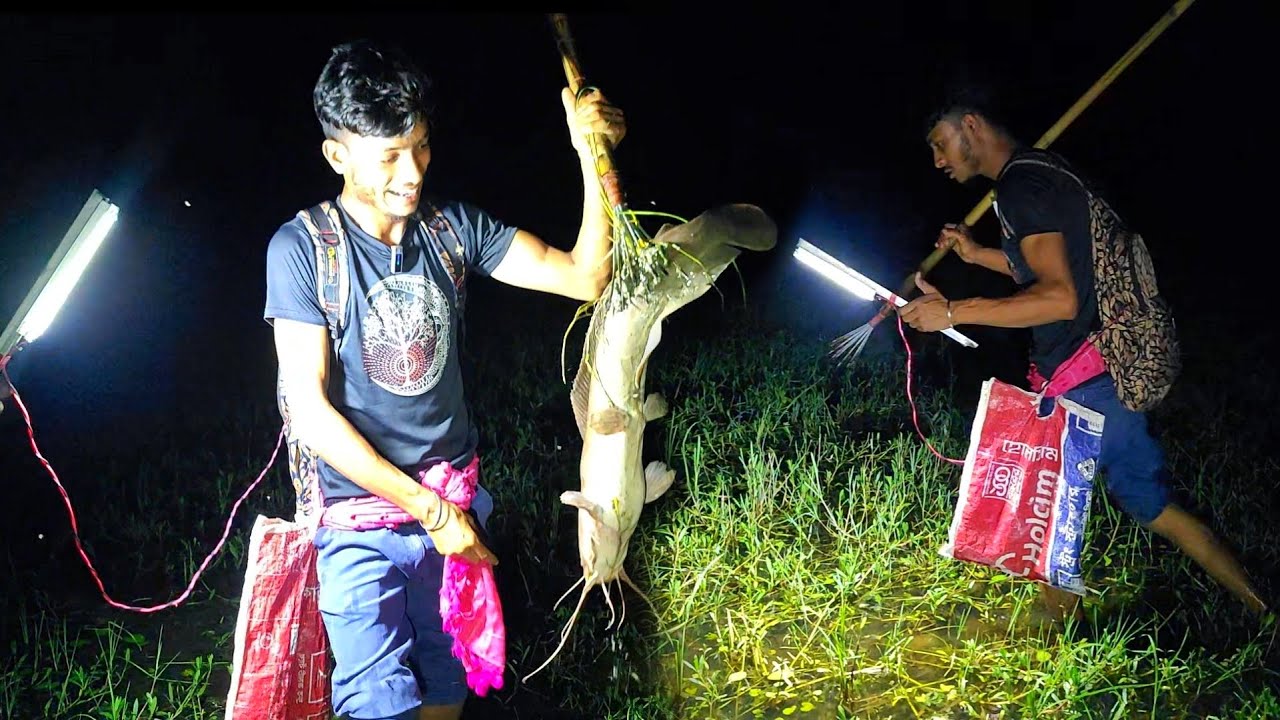 টেঠা দিয়ে বিলে মাছ শিকার/Bangladesh's Fishing Traditional Methods।