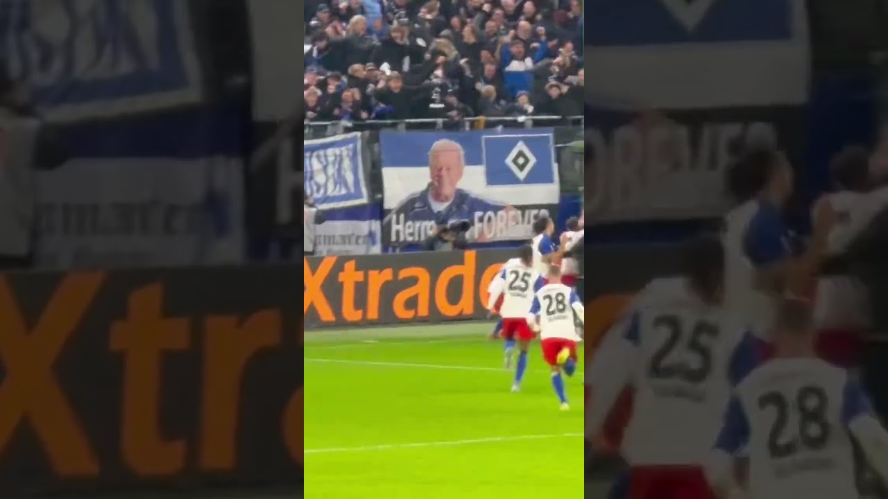 HSV - VfB Last Minute Treffer Vieira