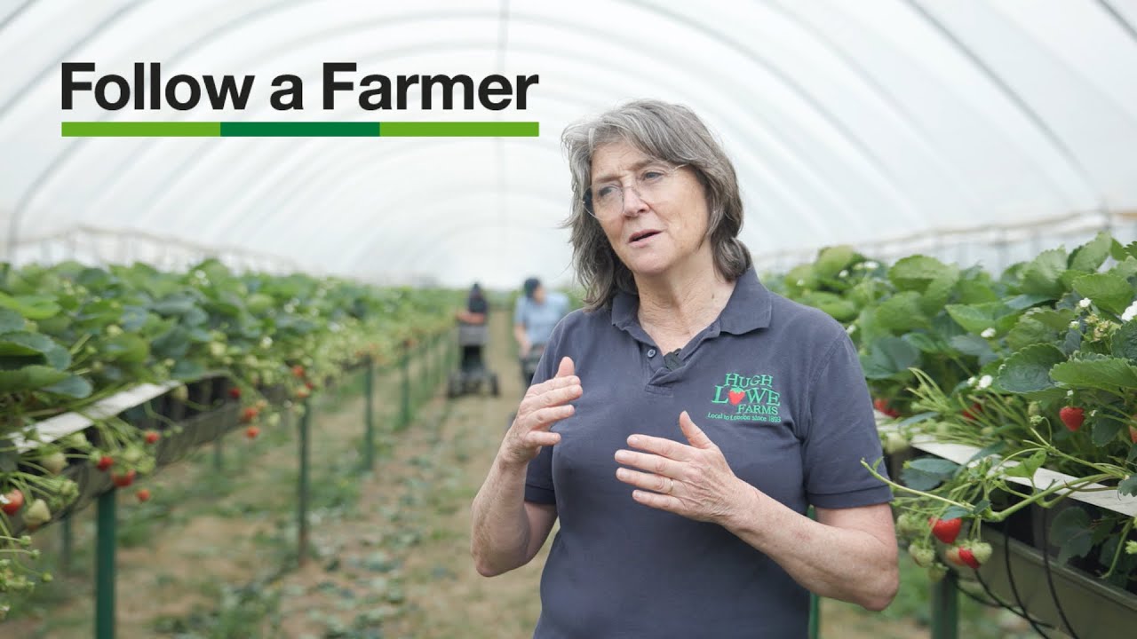 Meet Marion, who runs a 700-hectare berry-growing enterprise in Kent - Follow a Farmer UK, S1:E1