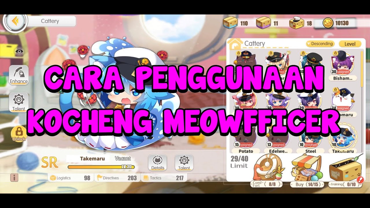 Azur Lane Indonesia | CARA MEMAKAI MEOWFFICER