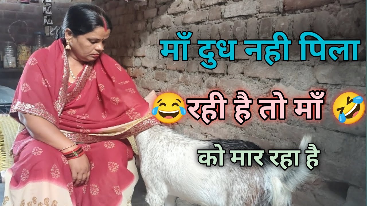 माँ दुध नही पिला रही है तो माँ को ही मारने लगा.. 😜🙃