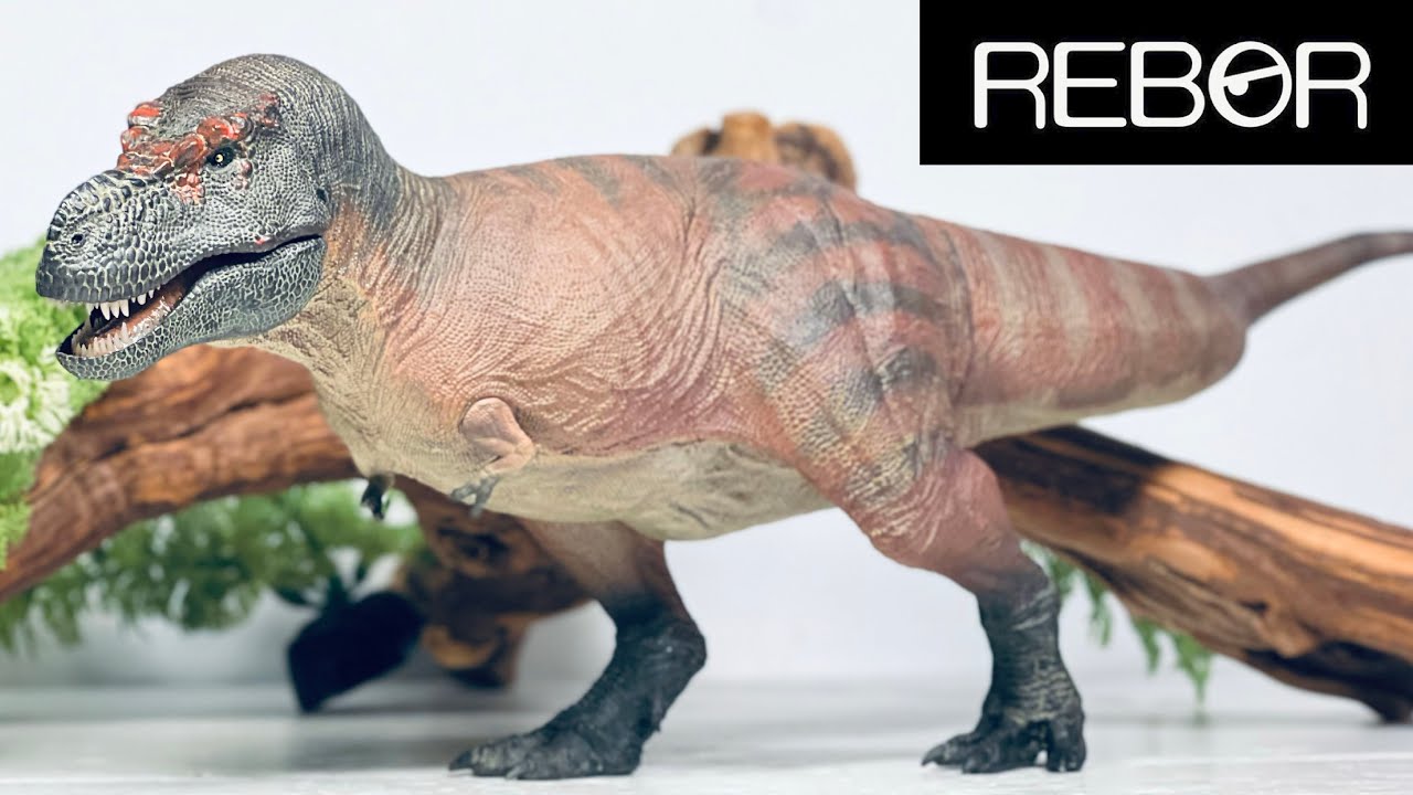 Rebor Tyrannosaurus rex “Kiss” Review!! Best Tyrannosaurus Figure Ever?!?