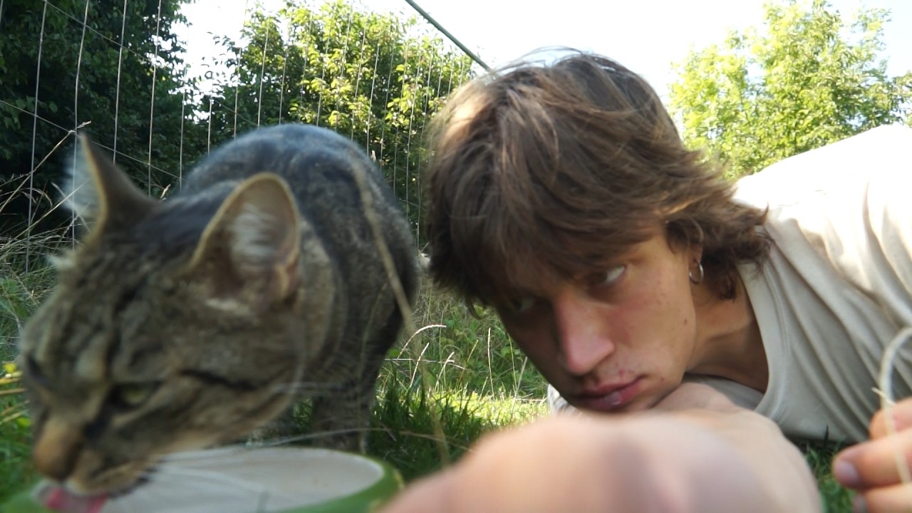 This is a real video of a cat drinking water, not AI-generated