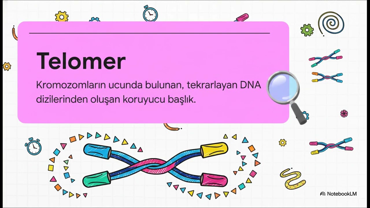 Yaşlanma — Gerçekten Durdurulabilir mi?