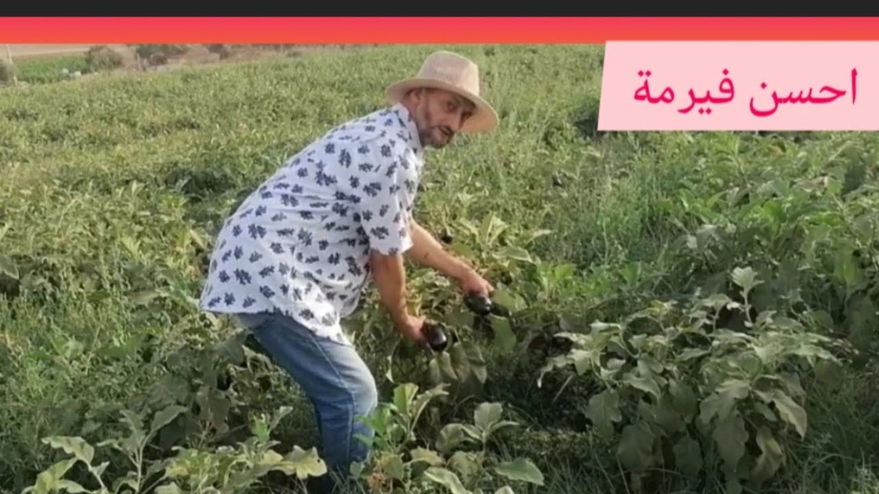 احسن أرض روعة مساحتها 5هكتارات ونصف محفضة ومسيجة التمن150 مليون قابل للتفاوض 0658026661 /0641941369