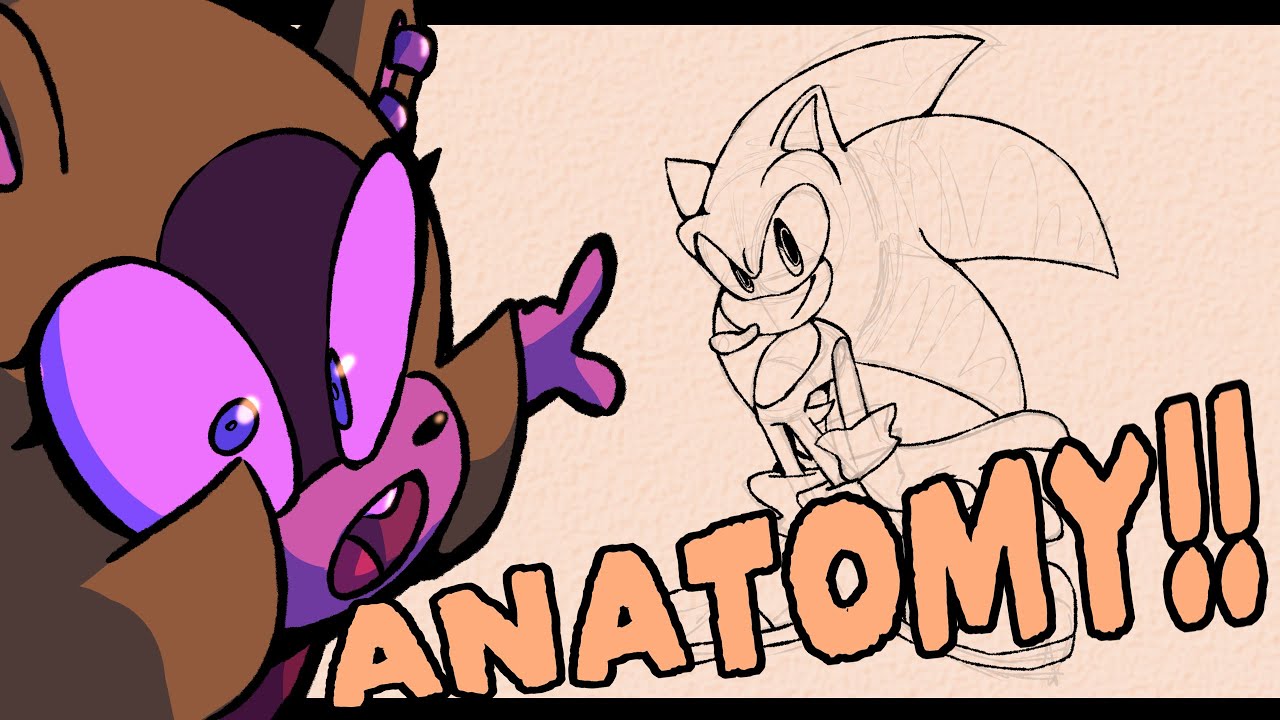 HOW TO DRAW SONIC CHARACTERS || ANATOMY