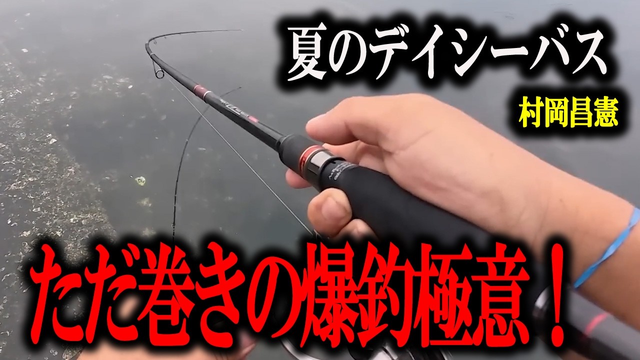 ※夏の陸っぱりシーバス！【爆釣させる】タダ巻きと●●の組み合わせ！！　村岡昌憲切り抜き
