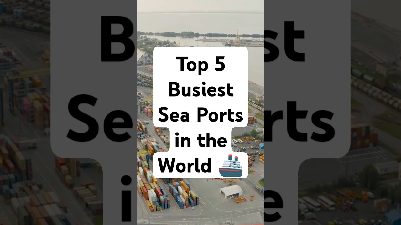 Top 5 Busiest Sea Ports in the World 🚢 ⏰