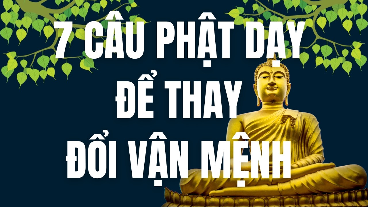 7 Câu Phật Dạy Mỗi Ngày Để Chuyển Hóa Nghiệp – Nghe Xong Đời Bạn Sẽ Thay Đổi
