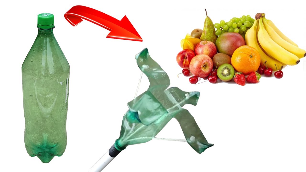 The easiest way to pick fruit / Make a fruit picker with plastic bottles / Gardening idea