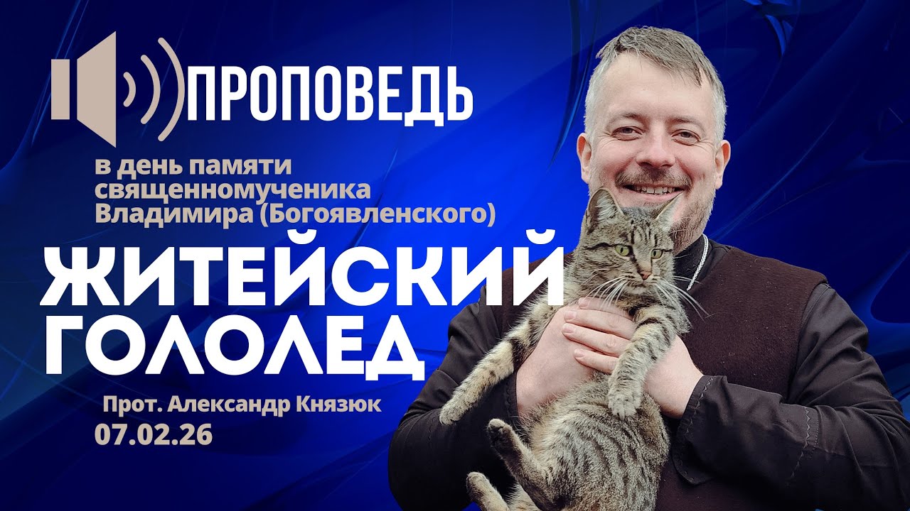 Житейский гололед 