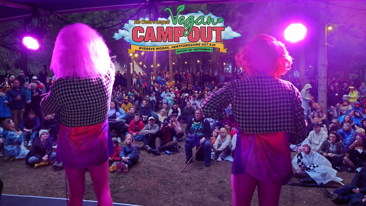 Vegan Camp Out 2025 - TVQ Highlights #vcomabad