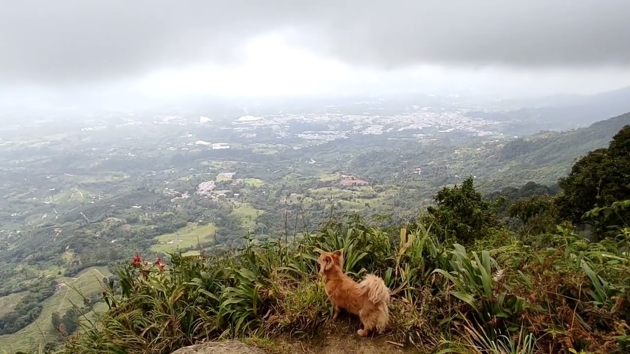 Conociendo la historia del Cacique Calarcá, En la cima de peñas blancas