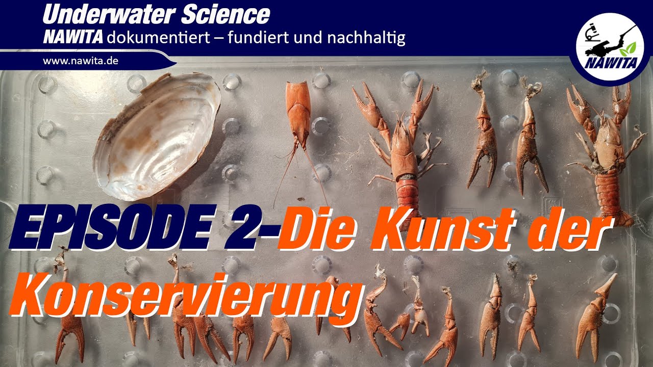 Die Kunst der Konservierung