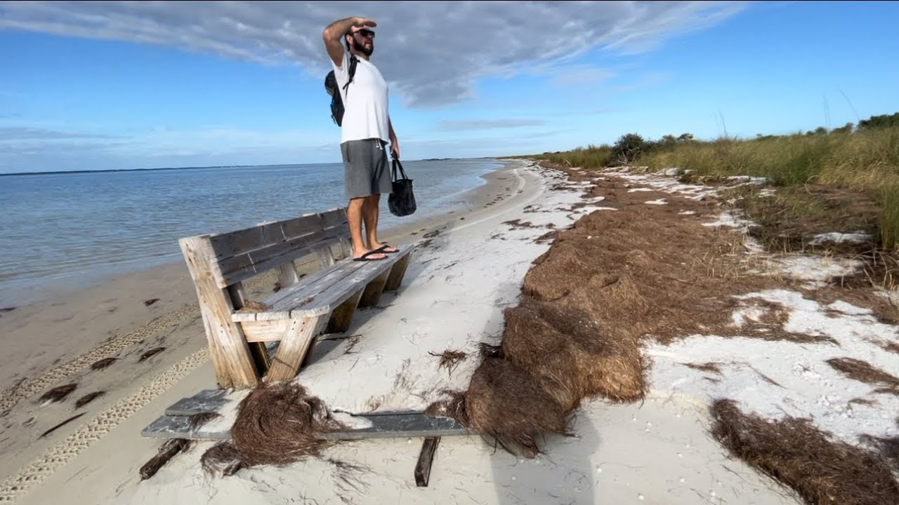 Beach Town Tour: Downtown Apalachicola, Eastpoint & Shelling St. George Island
