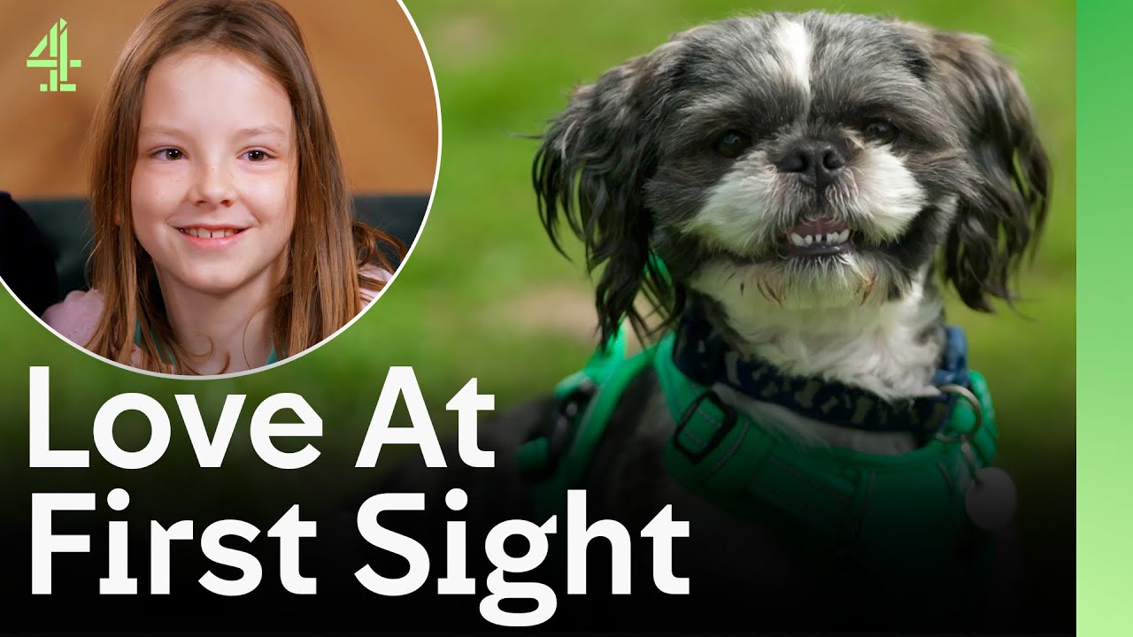 Rescue Dog Finds Love At First Sight | The Dog House 🐶