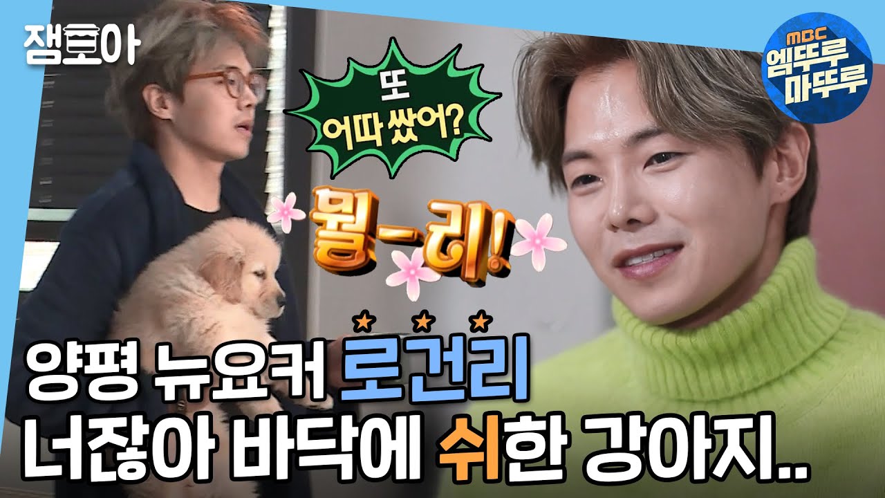 [나 혼자 산다] 사이클을 사랑하는 몰리아빠의 박은석의 펜트하우스 아니고 전원일기🐕  | #몰리 #박은석 #엠뚜루마뚜루