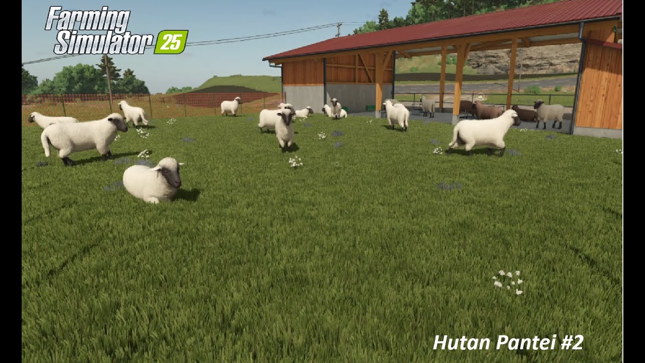 Mega Risk 🚜 €500,000 Debt for Sheep 🐑 & Fabric Production 🧵 | FS25 Hutan Pantai #4
