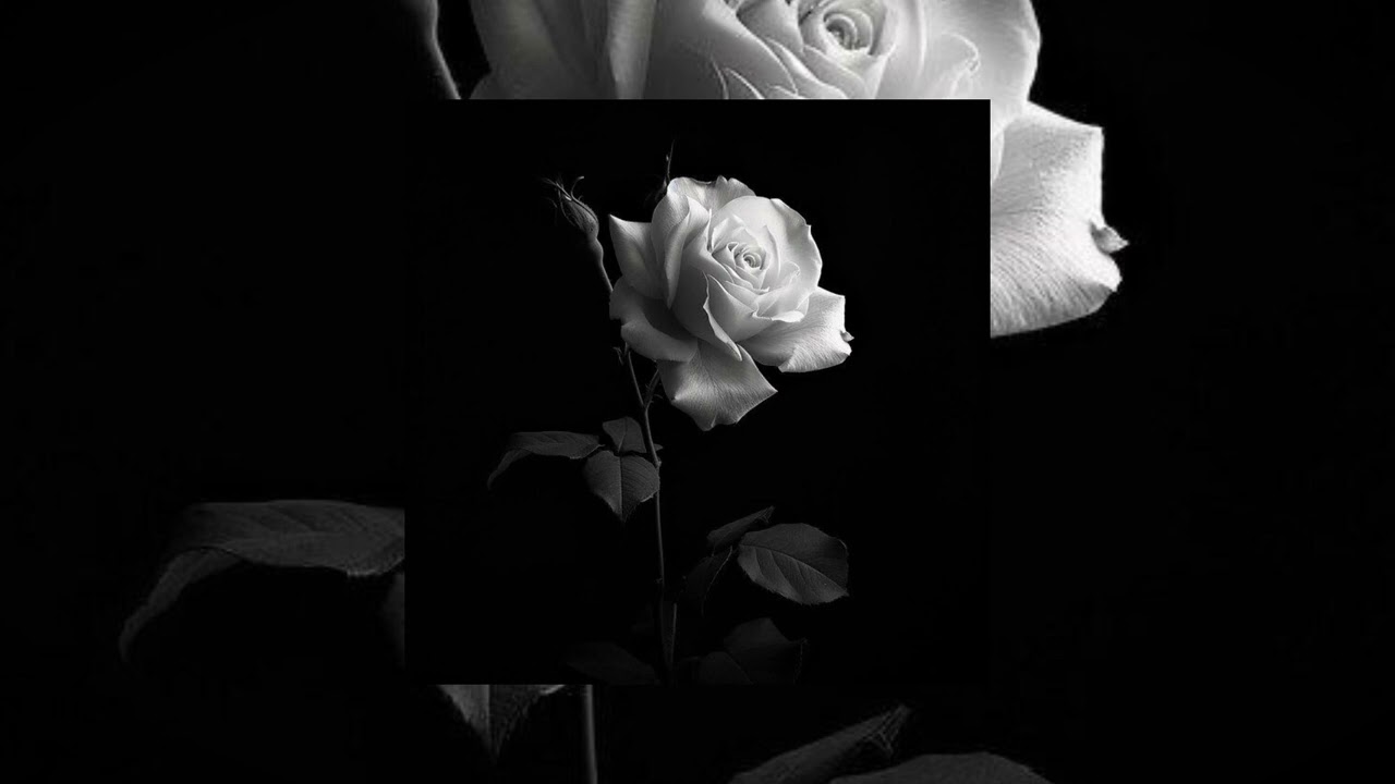 This Is Not Me | Deep Arabic Emotional Song 2026 | Be Yourself Anthem