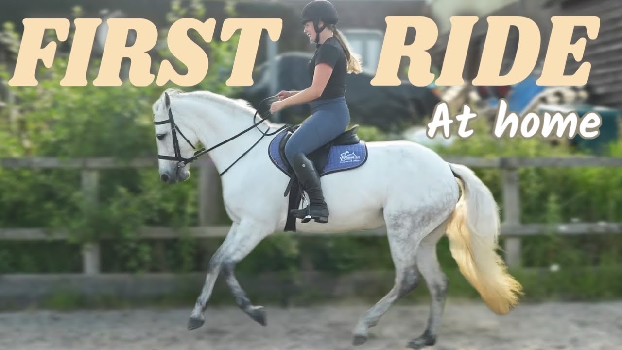 First Ride At Home With My NEW HORSE!