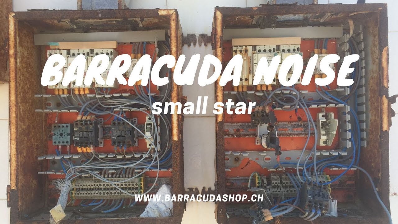 Barracuda noise - small star (Official video)