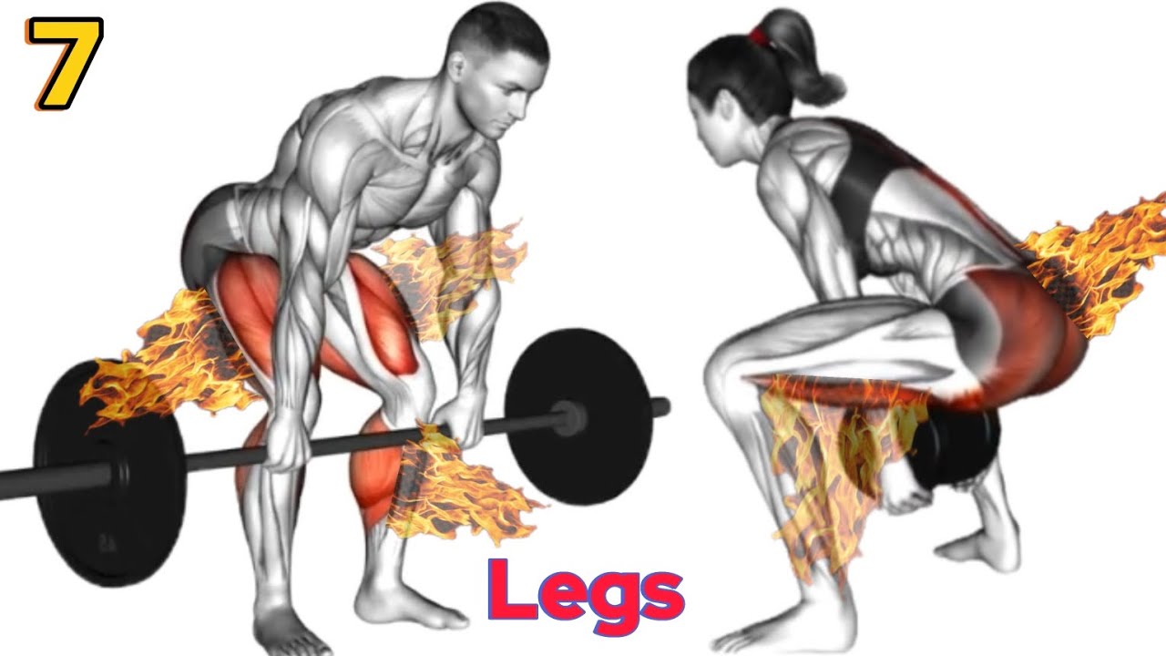 7 Best Leg Exercises for Strength & Muscle | Deadlift Focused Leg Workout