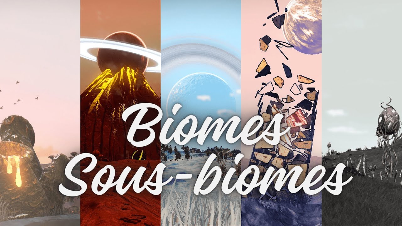 Tout savoir sur les Biomes et Sous-biomes