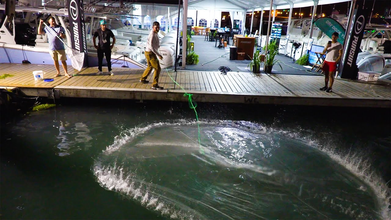 Catching BUCKETS of JUMBO Shrimp at the Miami Boat Show {Catch Clean Cook} On the DOCK!