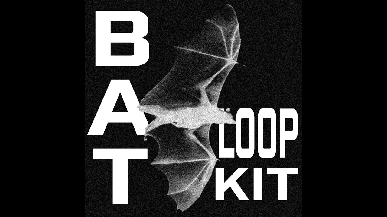 [FREE] Ken Carson Loop kit - Bat (Opium, Homixide Gang, Yeat, Playboi Carti Loop Kit 2024)