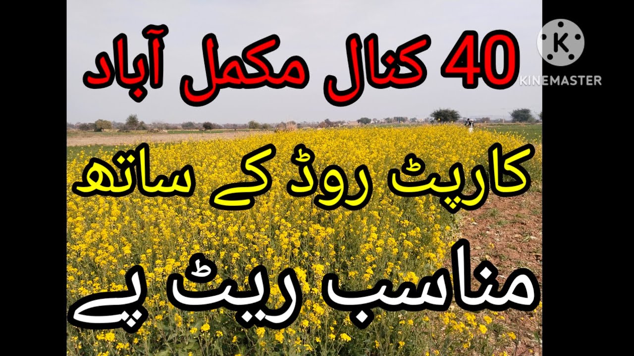 New Land for sale in Chakwal Agriculture land for sale in Chakwal Al Karam property chakwal 