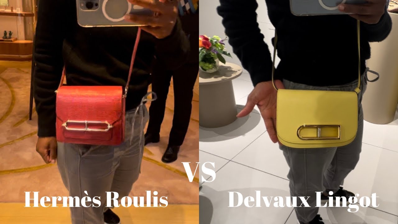 Delvaux Lingot vs Hermès Roulis | Which bag is the fairest of them all? | Anesu Sagonda