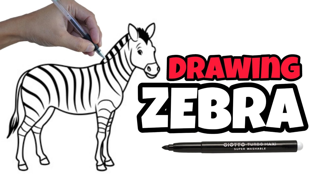 Draw with me this Zebra Easy