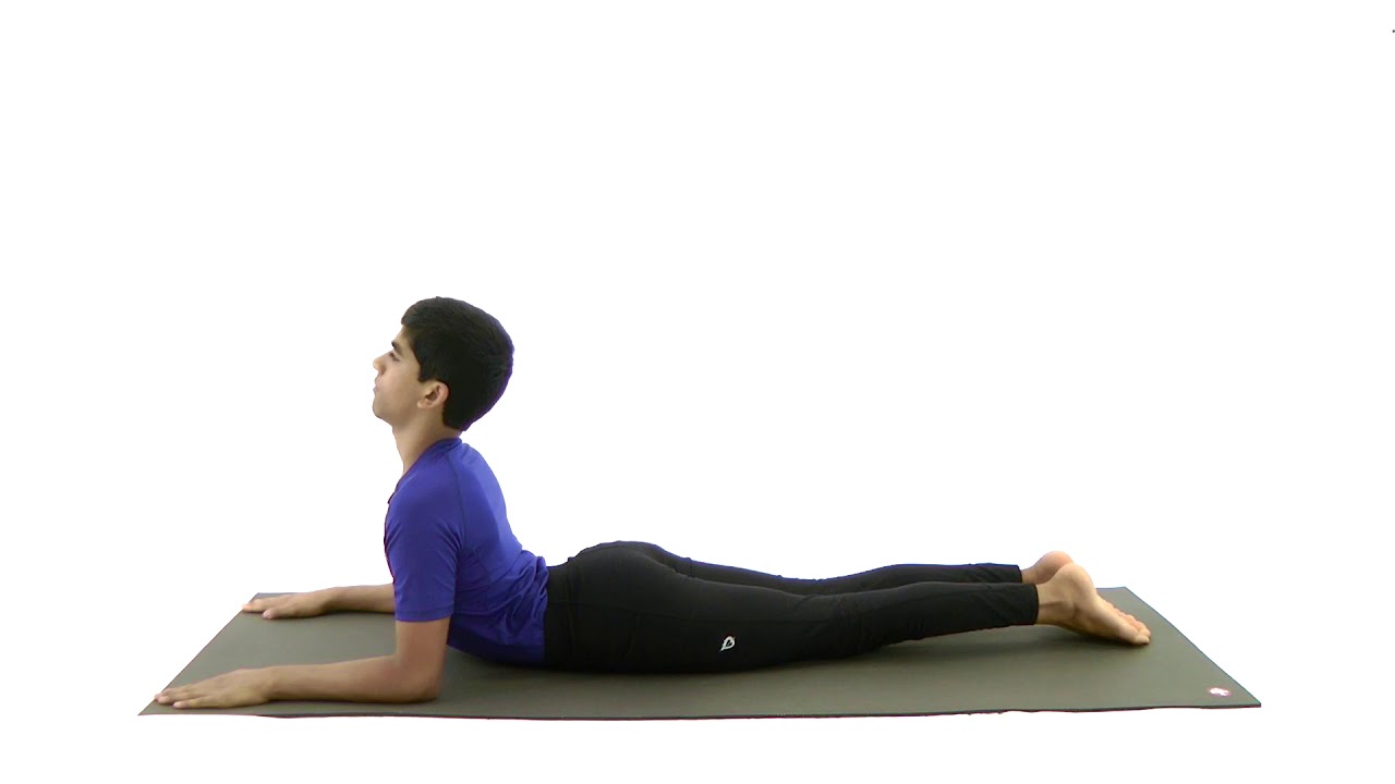 Ardha Bhujangasana (Half Cobra Pose)
