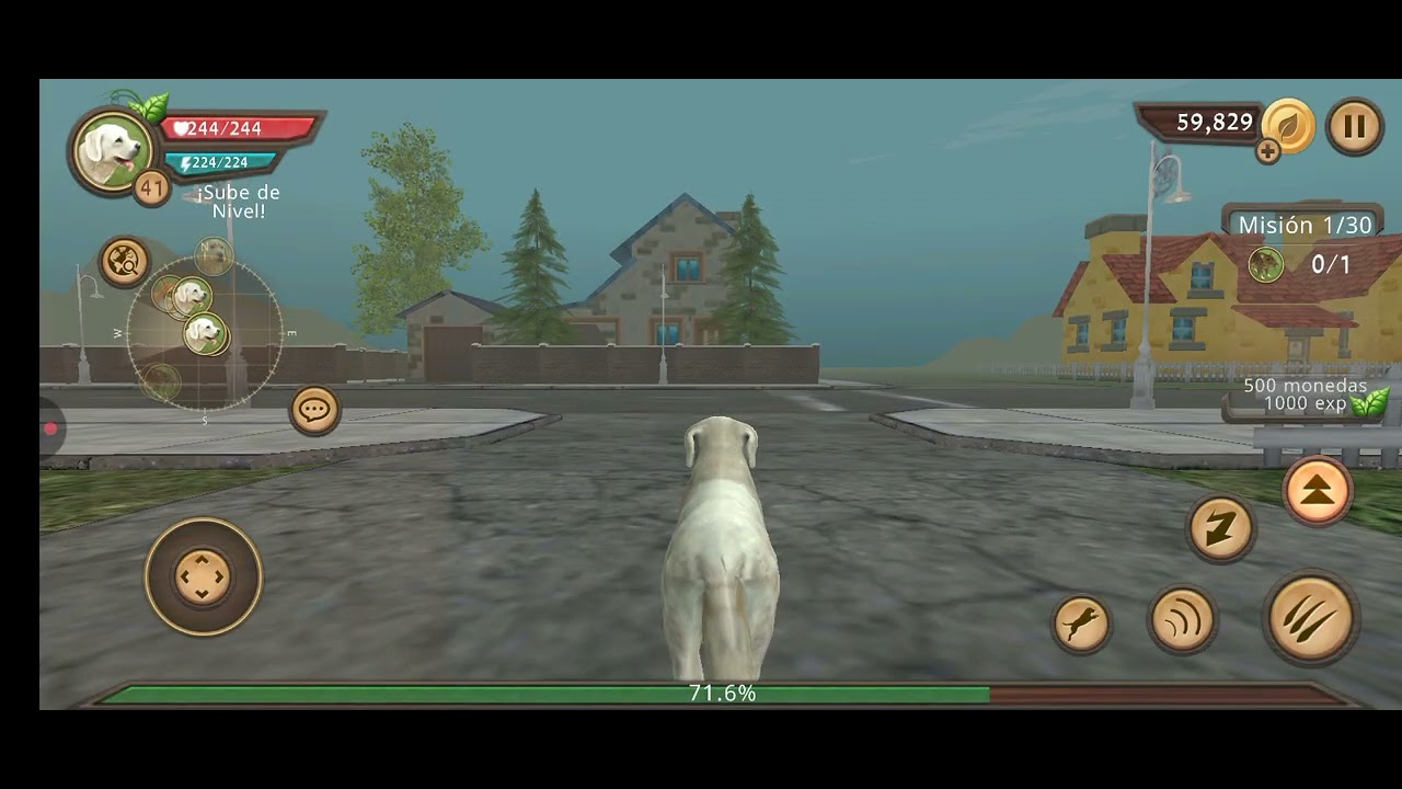 Subiendo al nivel 200