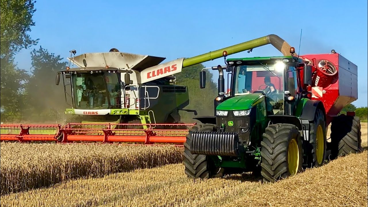 Claas Lexion 770, John Deere, Horsch Titan 34UW - High Efficiency Harvest @ Pugerup & Böketofta (4K)