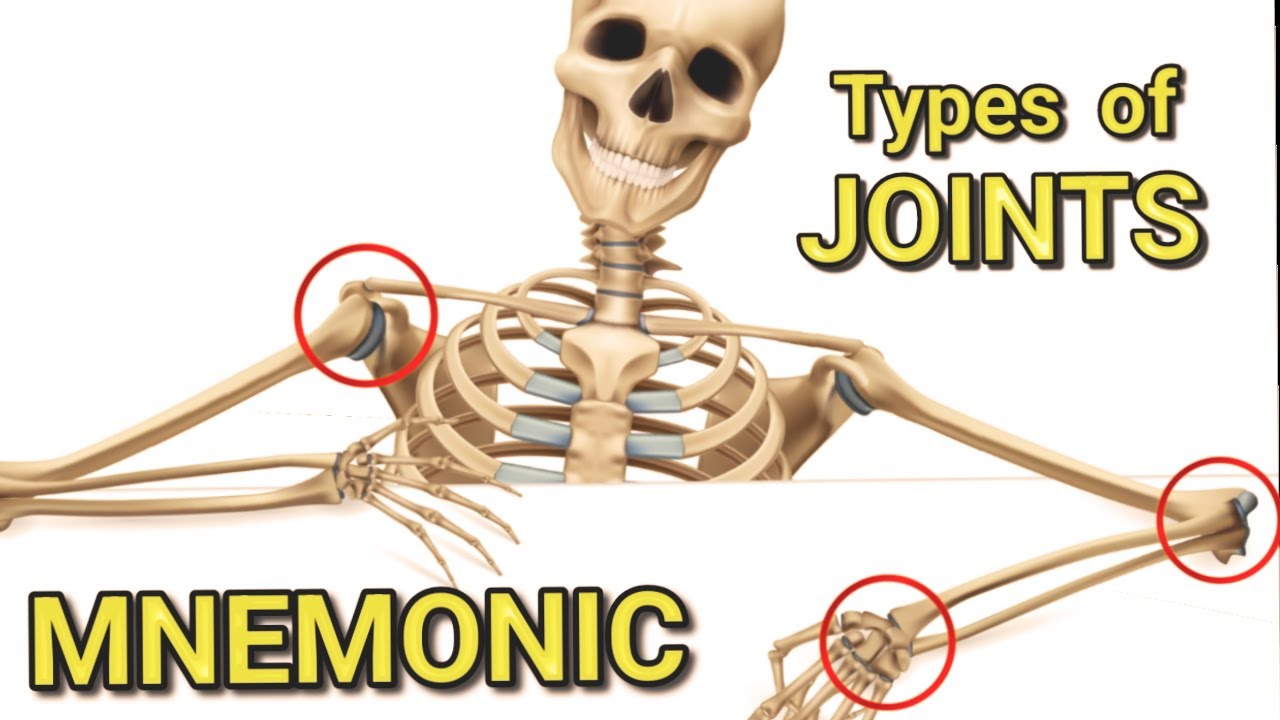 Joints of the Body | EASY Mnemonic for Memorizing the 6 classifications of Synovial Joints | Anatomy