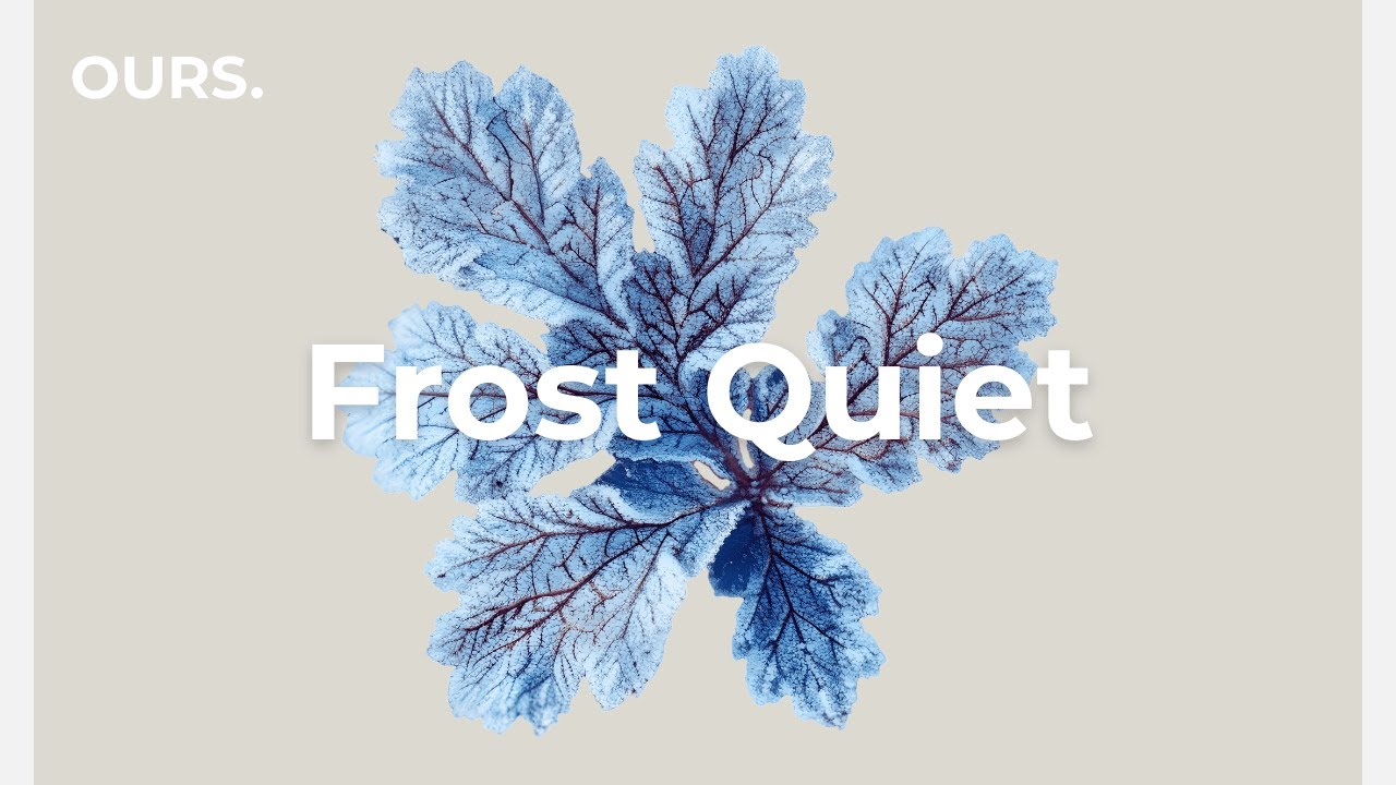 Chillout House Mix | Cool Minimal Grooves for Sustained Focus & Stillness