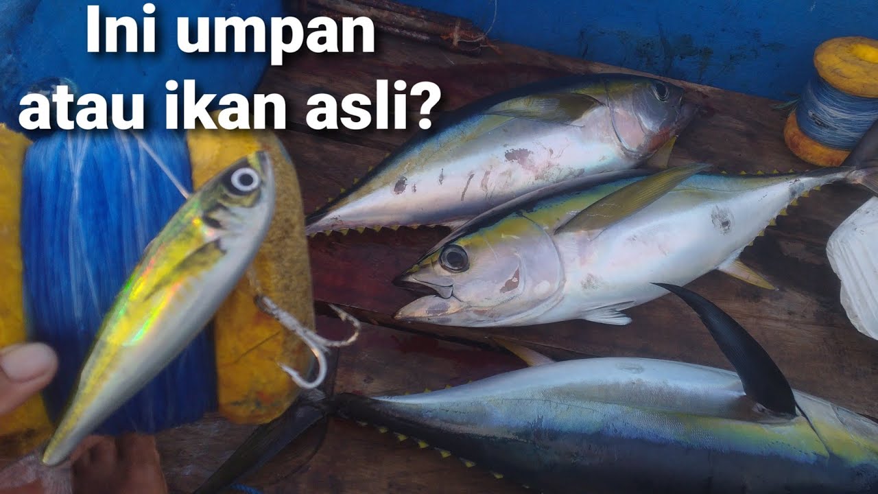 UMPANNYA SUPER MIRIP IKAN ASLI rumpon sepi Alhamdulillah masih ada sambaran