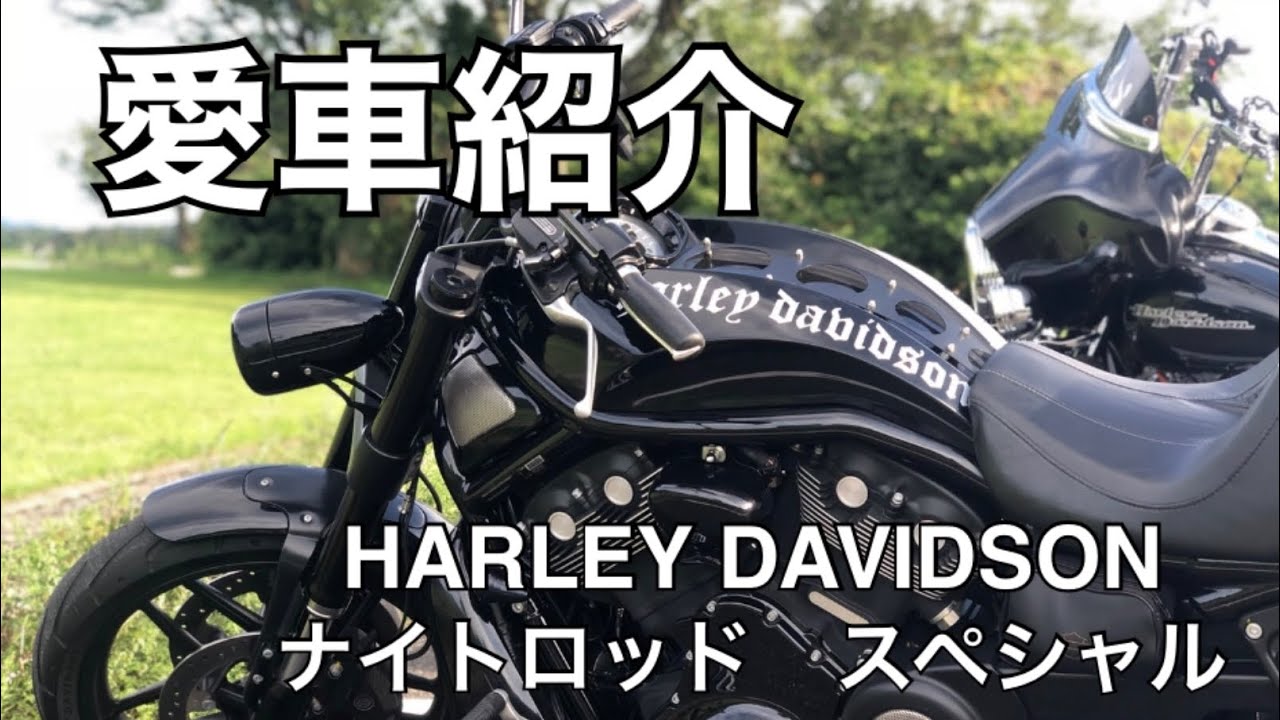 【モトブログ】愛車紹介やってみた！HARLEY DAVIDSON VRSCDX ナイトロッドスペシャル【かけぶろ】