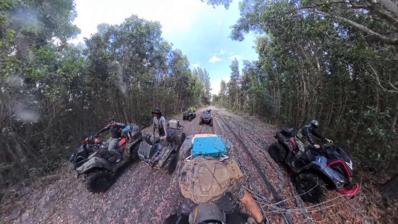 easy trail