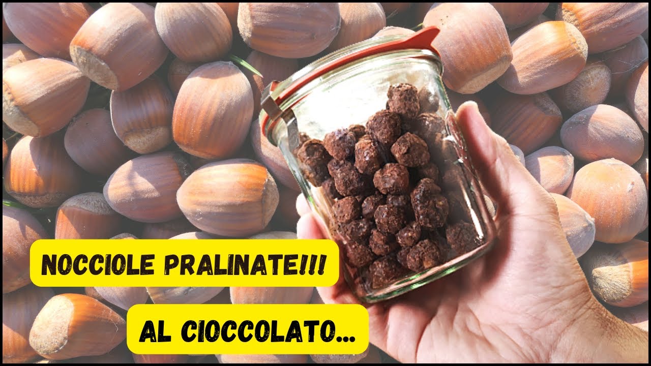 NOCCIOLE PRALINATE AL CIOCCOLATO RICETTA VELOCE