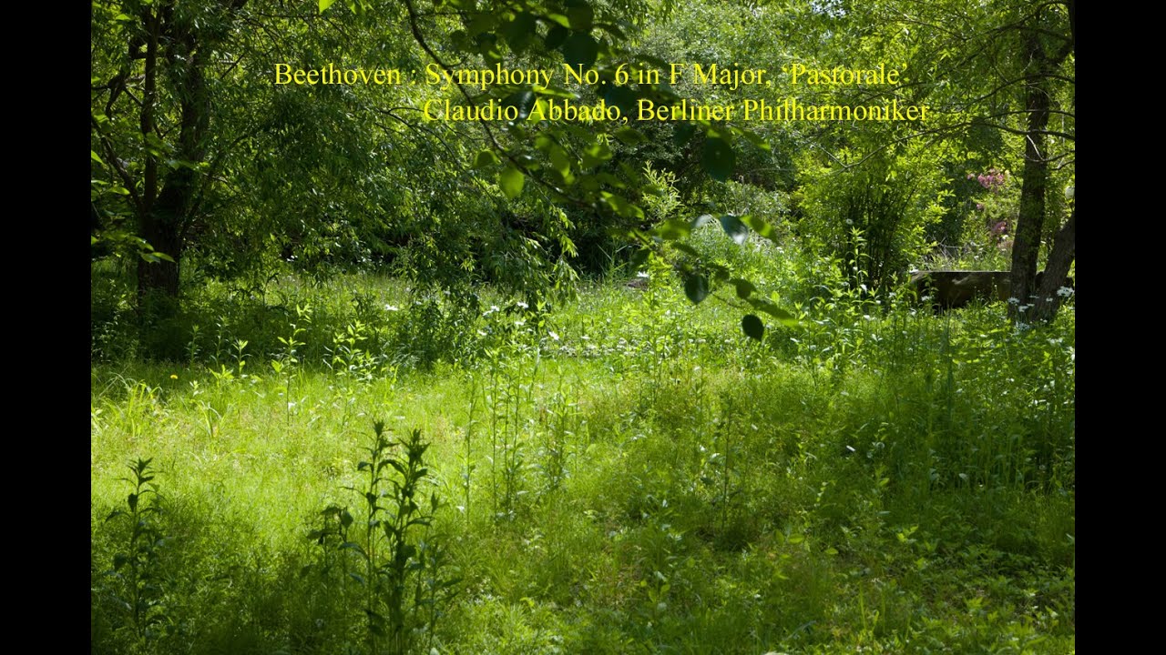 Beethoven : Symphony No. 6 in F Major, 'Pastoral'