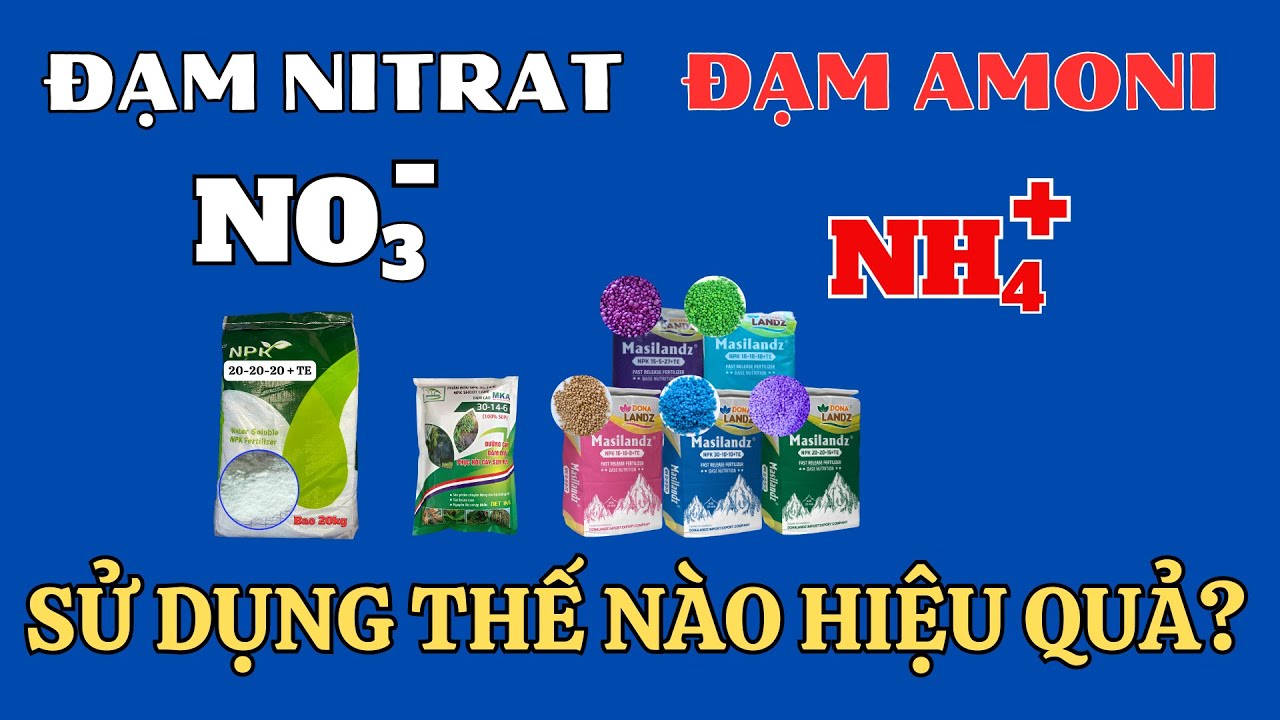 Hiểu rõ thông tin về đạm nitrat và đạm amoni để sử dụng hiệu quả nhất | Bộ sản phẩm NPK hòa tan MKA