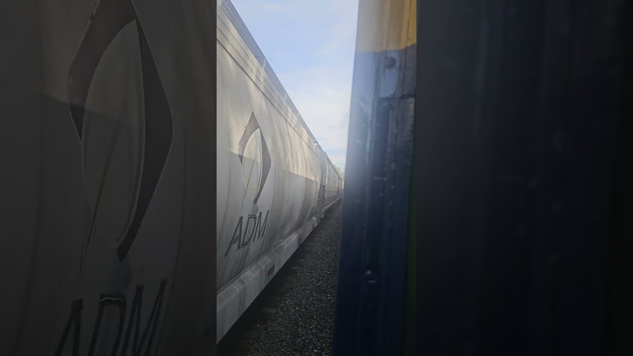 Meeting a CSX grain train on North mnt on the Shenandoah valley limited 