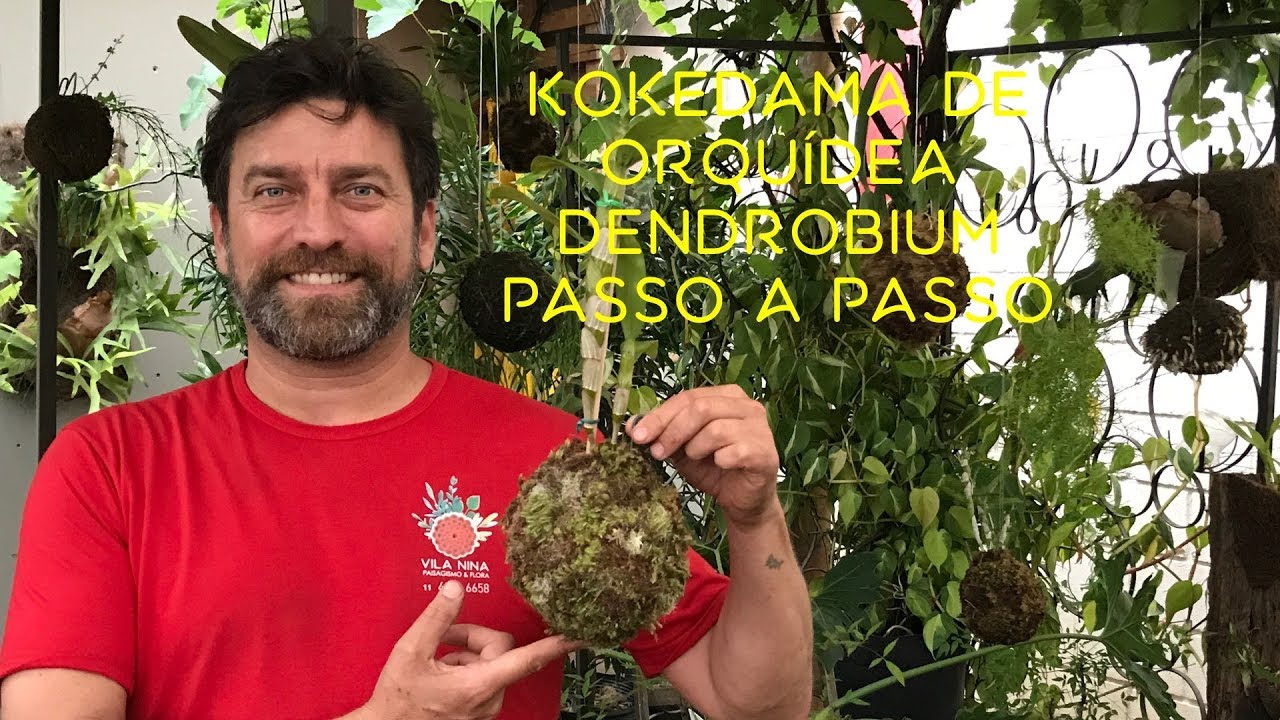 Como fazer Kokedama de Orquídea Dendrobium Passo a Passo
