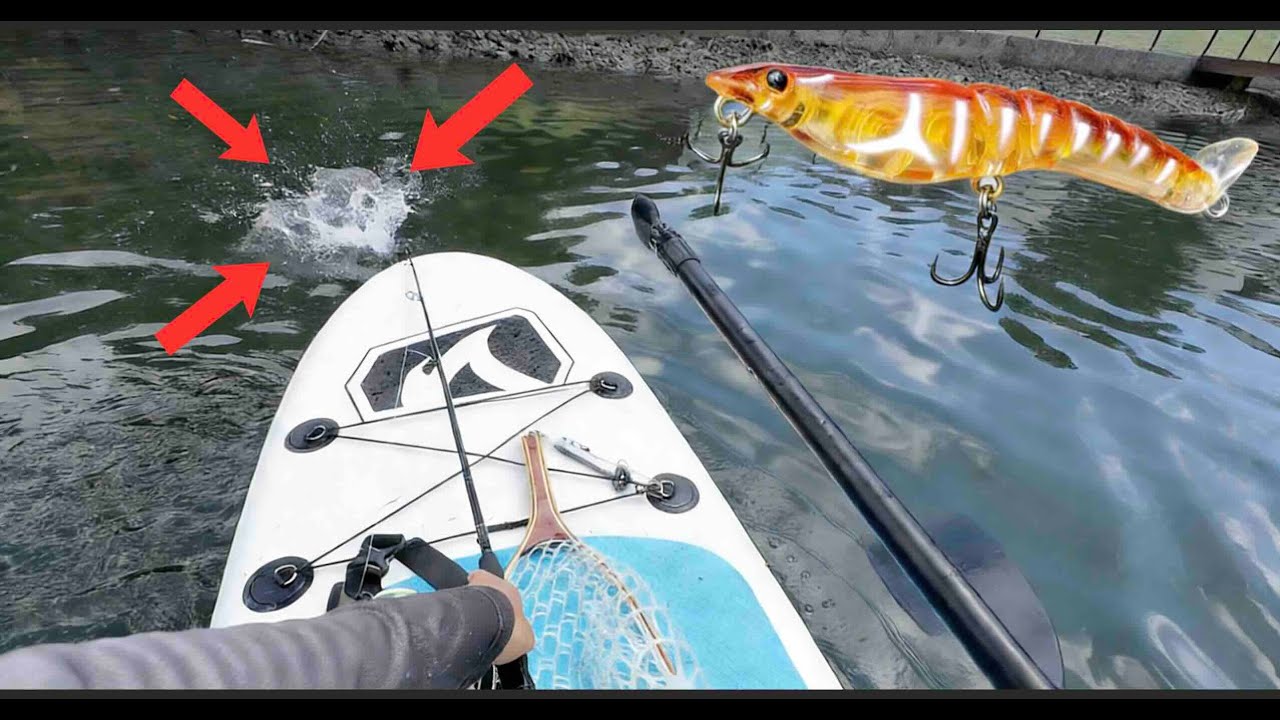 SOLO PADDLE BOARD SESSION...