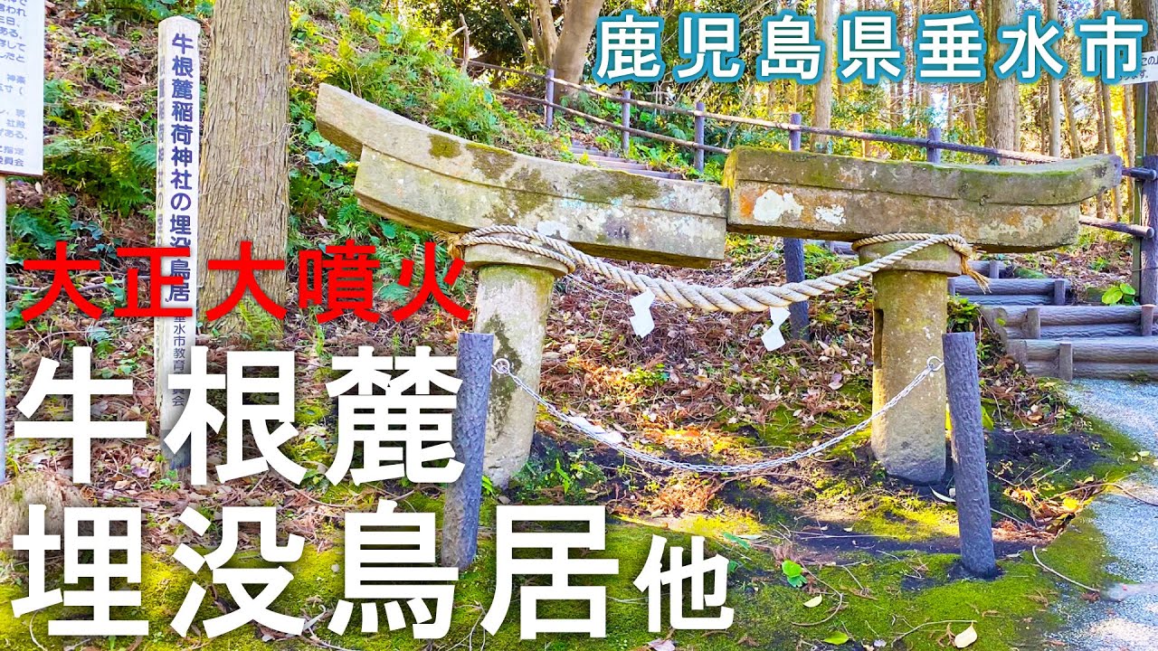牛根麓埋没鳥居（鹿児島県垂水市）・黒神埋没鳥居　20200321