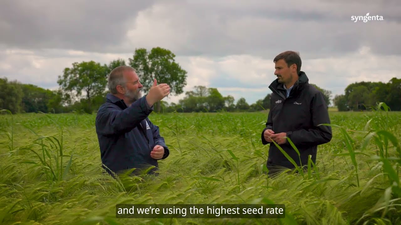 Grassweed Diaries: Crop Suppression Trials Summer 2025 Update