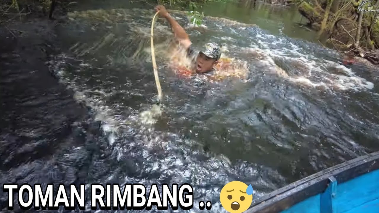 SUNGAI INI MASIH MISTERI .. H - 2    Sungai Bidawang ..😓..