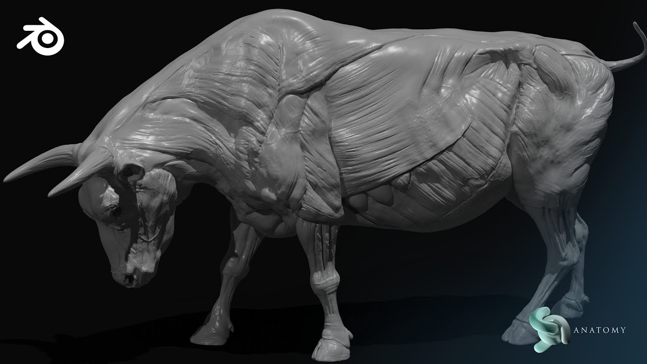 Pose 3D Models In Blender Using Masking (Bull Anatomy)
